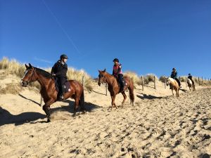Bild 17: Ferienhaus 23, Bungalowpark Puik en Duin Noordwijk am Meer