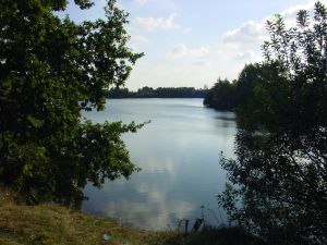 Bild 9: Ferienhaus Princesa- Urlaub mit Hund