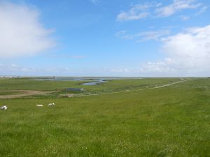 Bild 21: Ferienhaus Princesa- Urlaub mit Hund