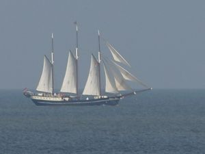 Bild 22: Ferienhaus Princesa- Urlaub mit Hund