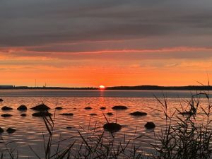 Abendsonne am Strelasund - Bild 4: Ferienhaus „Am Utkiek“