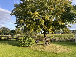 Über 3000 m2 Garten zum tollen und spielen - Bild 7: Landhaus Ferienwohnung Up’n Wall im Münsterland