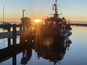 Bild 15: Wohlfühloase am Naturstrand Ostseeperle