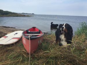 lange Spaziergänge am Strand - Bild 2: Wohlfühloase am Naturstrand Ostseeperle