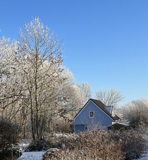 freistehende Wohlfühloase mit unverbautem Blick - Bild 1: Wohlfühloase am Naturstrand Ostseeperle
