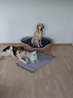 Bild 8: Rad und Rudel - Ferienwohnung in Oberfranken