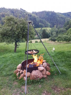 Bild 14: Heimatglück Schwarzwald