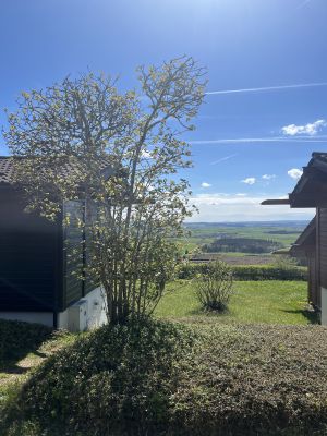 Bild 3: Ferienhaus Munz im Schwarzwald