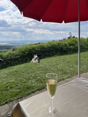 Bild 16: Ferienhaus Munz im Schwarzwald