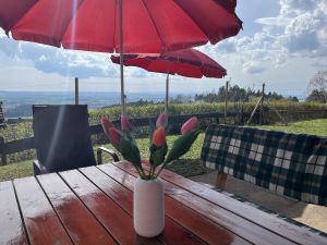Bild 4: Ferienhaus Schwarzwald – Hund & 1,50 m Zaun + Gratis DreiWeltenCard