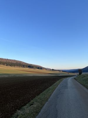 Bild 27: Ferienhaus Munz im Schwarzwald