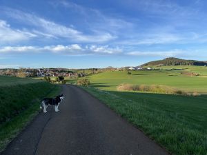 Bild 25: Ferienhaus Schwarzwald – Hund & 1,50 m Zaun + Gratis DreiWeltenCard