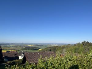 Bild 28: Hundeurlaub Schwarzwald – 1,50 m Zaun & Panoramablick