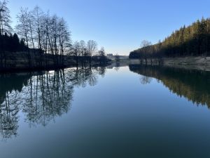 Bild 24: Ferienhaus Munz im Schwarzwald