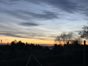 Bild 10: Ferienhaus Schwarzwald – Hund & 1,50 m Zaun + Gratis DreiWeltenCard