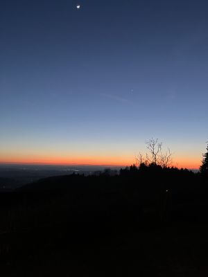 Bild 21: Ferienhaus Munz im Schwarzwald