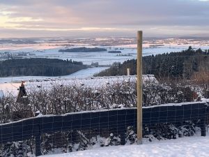 Bild 22: Ferienhaus mit Panoramaaussicht, Wanderwegen und kostenloser DreiWeltenCard