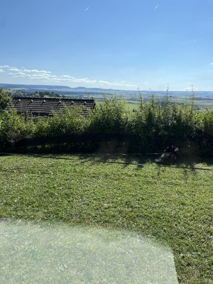 Bild 19: Ferienhaus Munz im Schwarzwald