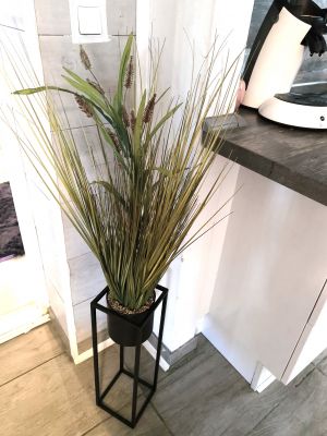 Bild 13: Ferienhaus "Leah´s Muschelsand" Nähe Nordseeheilbad Friedrichskoog