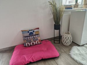 Bild 4: Ferienhaus "Leah´s Muschelsand" Nähe Nordseeheilbad Friedrichskoog