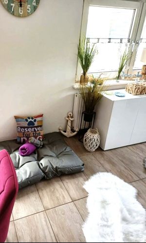 Bild 7: Ferienhaus "Leah´s Muschelsand" Nähe Nordseeheilbad Friedrichskoog