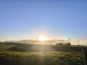Bild 18: Ferienhaus "Leah´s Muschelsand" Nähe Nordseeheilbad Friedrichskoog
