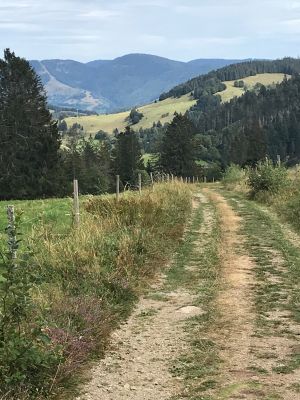 Bild 10: Ferienhaus Sonnenschein im "Kleinen Wiesental".