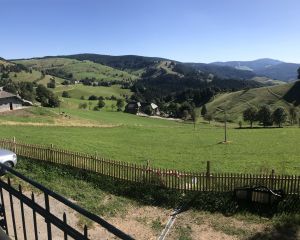 Bild 21: Ferienhaus Sonnenschein im "Kleinen Wiesental".