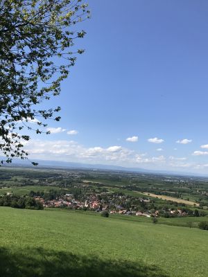 Bild 14: Ferienhaus Sonnenschein im "Kleinen Wiesental".