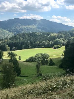 Bild 16: Ferienhaus Sonnenschein im "Kleinen Wiesental".