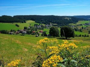 Bild 7: Ferienhaus Sonnenschein im "Kleinen Wiesental".