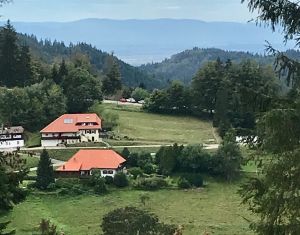 Bild 19: Ferienhaus Sonnenschein im "Kleinen Wiesental".