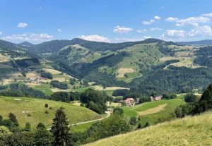 Bild 4: Ferienhaus Sonnenschein im "Kleinen Wiesental".