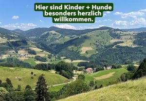 Bild 1: Ferienhaus Sonnenschein im "Kleinen Wiesental".