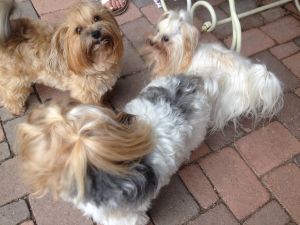 Bild 21: Vier Jahreszeiten Idyll