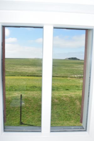 Am Fenster sitzen, über die Hallig blicken und Vögel beobachten. - Bild 5: Ferienwohnung mit Weitblick auf Hallig Hooge