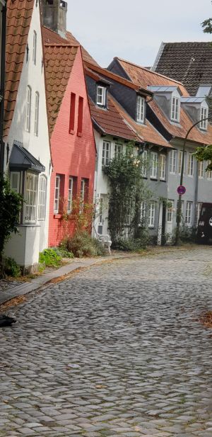 Bild 11: FeWo Lütt Matten im Herzen Flensburgs und dennoch idyllisch und ruhig