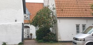 Bild 9: FeWo Lütt Matten im Herzen Flensburgs und dennoch idyllisch und ruhig