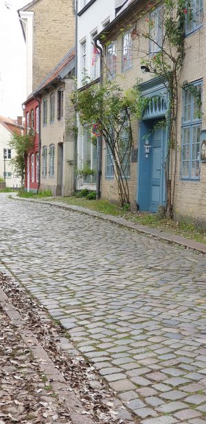 Bild 10: FeWo Lütt Matten im Herzen Flensburgs und dennoch idyllisch und ruhig