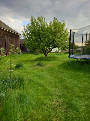 Bild 14: Ferienhof Höhensonne - Urlaub mit Hund in der Sächsische Schweiz
