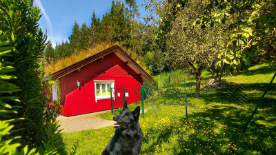 Das Ferien-Zuhause für Sie und Ihren Hund