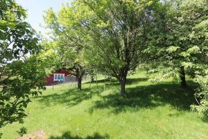 Bild 8: Das Ferien-Zuhause für Sie und Ihren Hund