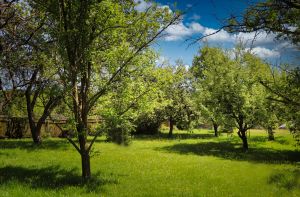Bild 9: Das Ferien-Zuhause für Sie und Ihren Hund