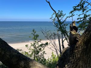 Bild 27: Haus Casa Luisa Polnische Ostsee in Tresacz