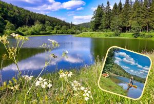 Baden für Menschen und Hunde im Stausee - Bild 23: Hundebadezimmer, eingezäunter Garten, Veranda, Balkon: Brangs Eulenbüsch: