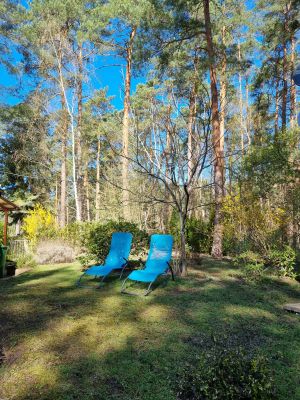 Bild 15: Waldhaus Emmi am Wald/See Nähe Spreewald