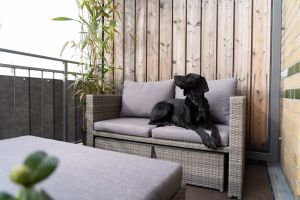 Bild 19: König Albert Residenz