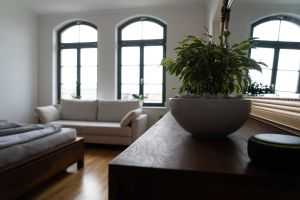 Bild 29: König Albert Residenz