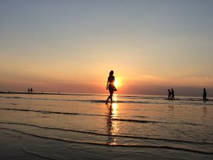 Bild 14: Ferienhaus 5a, Bungalowpark Puik en Duin Noordwijk am Meer