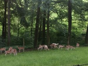 Bild 31: Willkommen zum Wohlfühlen in der Sächsischen Schweiz